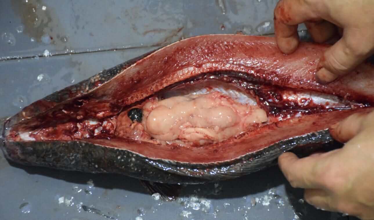 5cd7dd4e02934.jpg 5cd7dd4e02934.jpg