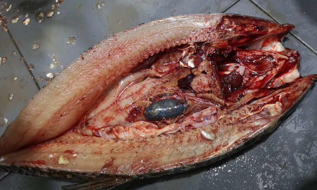 5ce7b92e65c74.jpg 5ce7b92e65c74.jpg