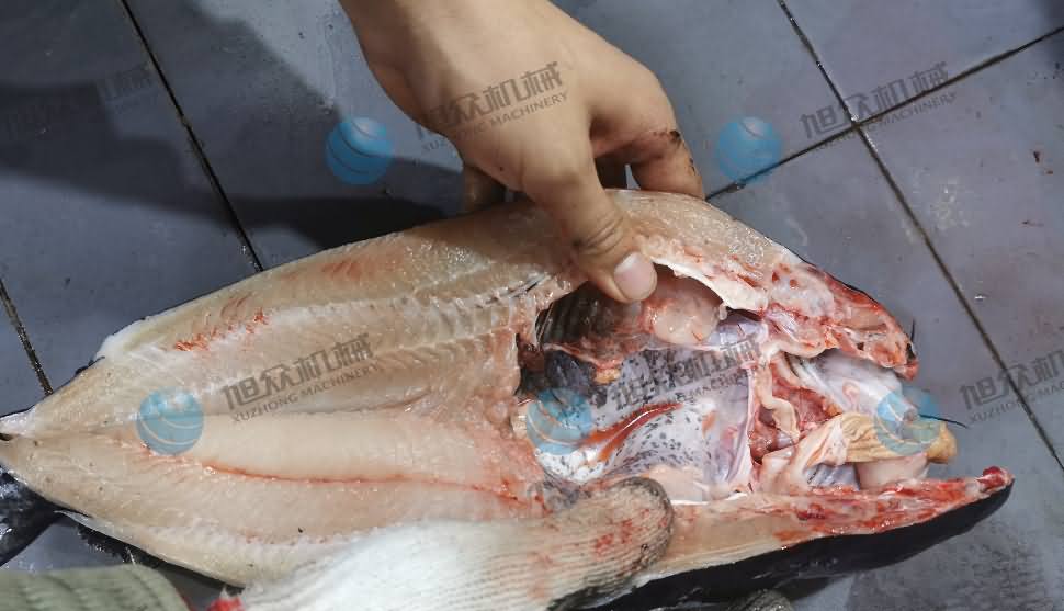 杀鱼机，商用杀鱼机，全自动杀鱼机，旭众杀鱼机，杀鱼机哪家好