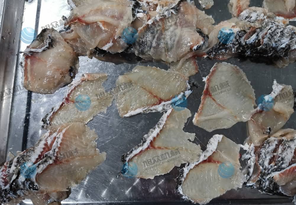 鱼片机，片鱼片机，片鱼机，斜切鱼片机，全自动鱼片机