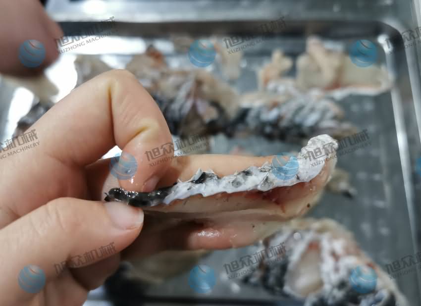 鱼片机，片鱼片机，片鱼机，斜切鱼片机，全自动鱼片机