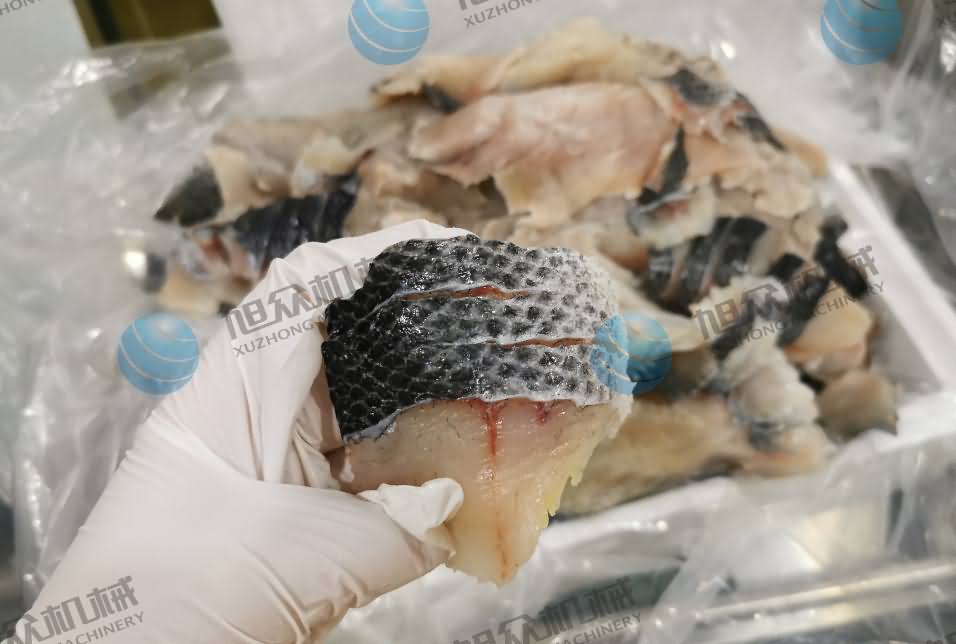 鱼片机，片鱼片机，全自动鱼片机，商用片鱼片机器，切鱼片机