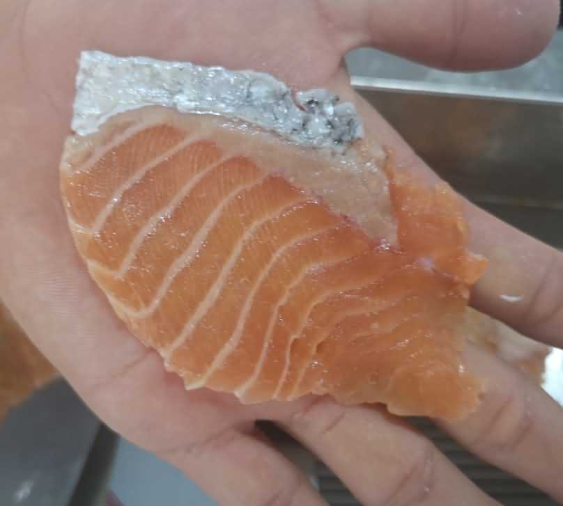 鱼片机,自动切鱼片机,旭众鱼片机,多功能切鱼片机,鱼片机多少钱 鱼片机,自动切鱼片机,旭众鱼片机,多功能切鱼片机,鱼片机多少钱