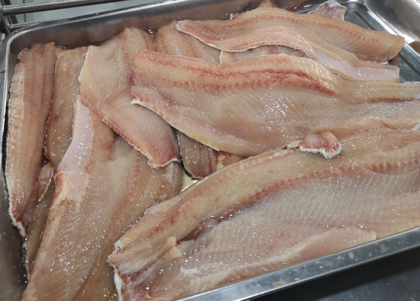 切鱼片机，自动切鱼片机，片鱼片机器，鱼片机厂家，切鱼片机多少钱