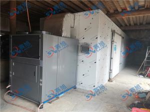 福建漳州吕老板使用《低温高效烘干房》烘干龙头鱼