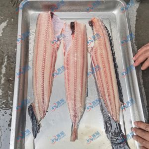 现场试机鲶鱼，三枚开片去鱼骨机