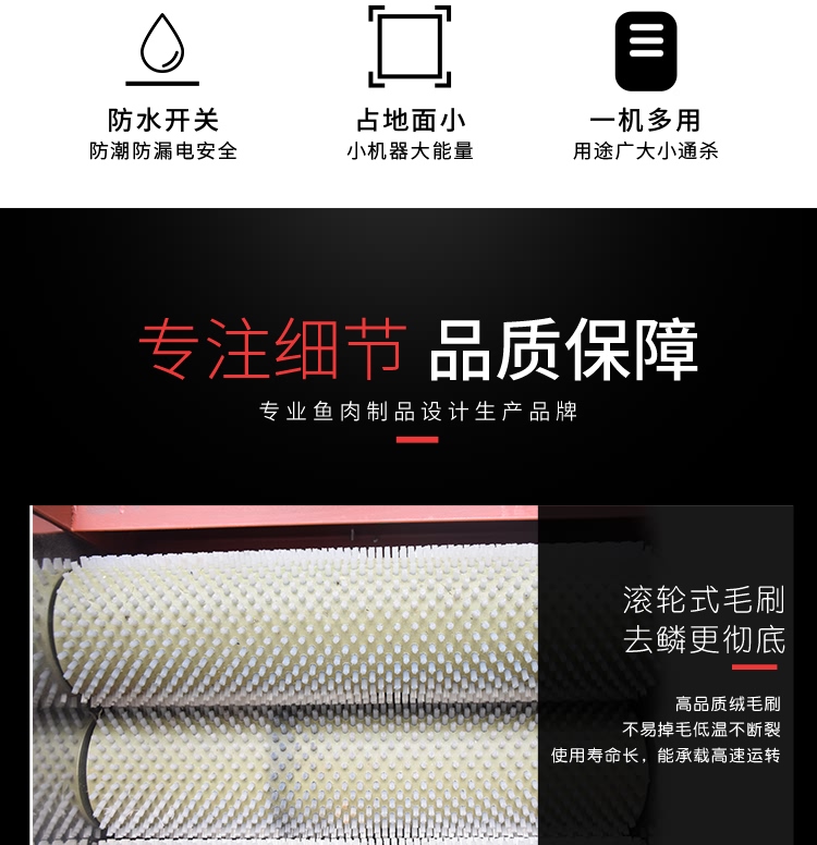 艾博驰ABCH-55去鱼鳞机3