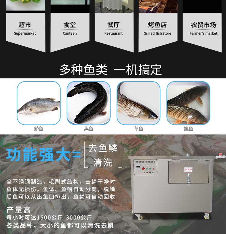 艾博驰ABCH-55去鱼鳞机8