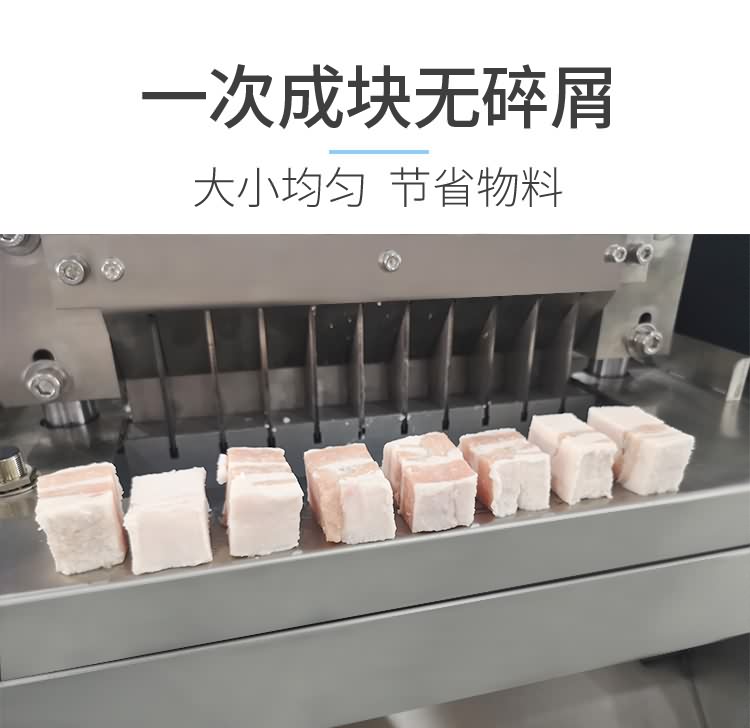 艾博驰ABCH-30鱼禽类剁块机5